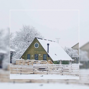 Wooden cottage 